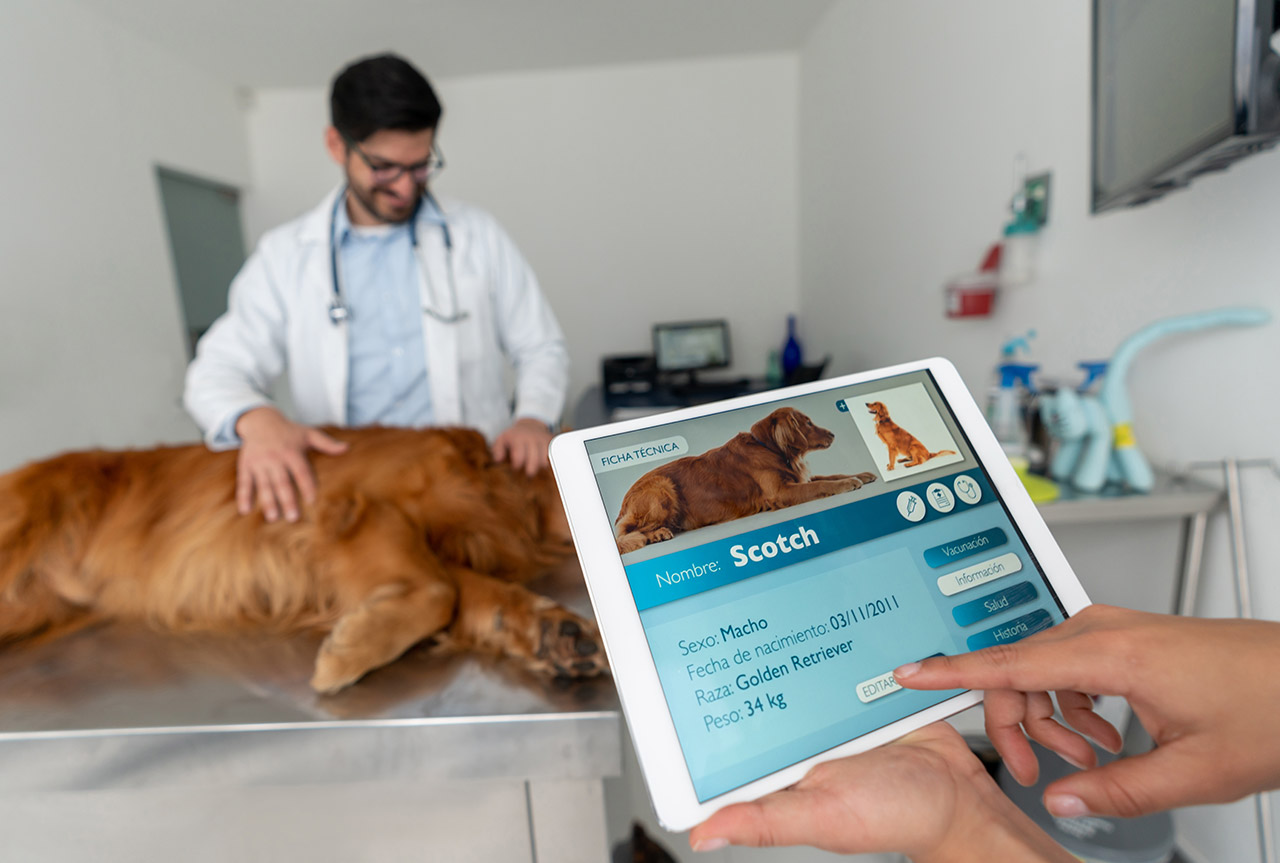 CenterGrid Optimizes Veterinary Software in the Remote Work Era